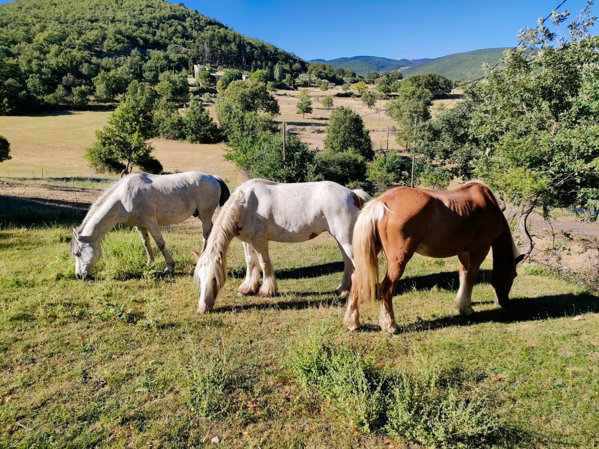 Gite A La Ferme Ongles Exterior photo