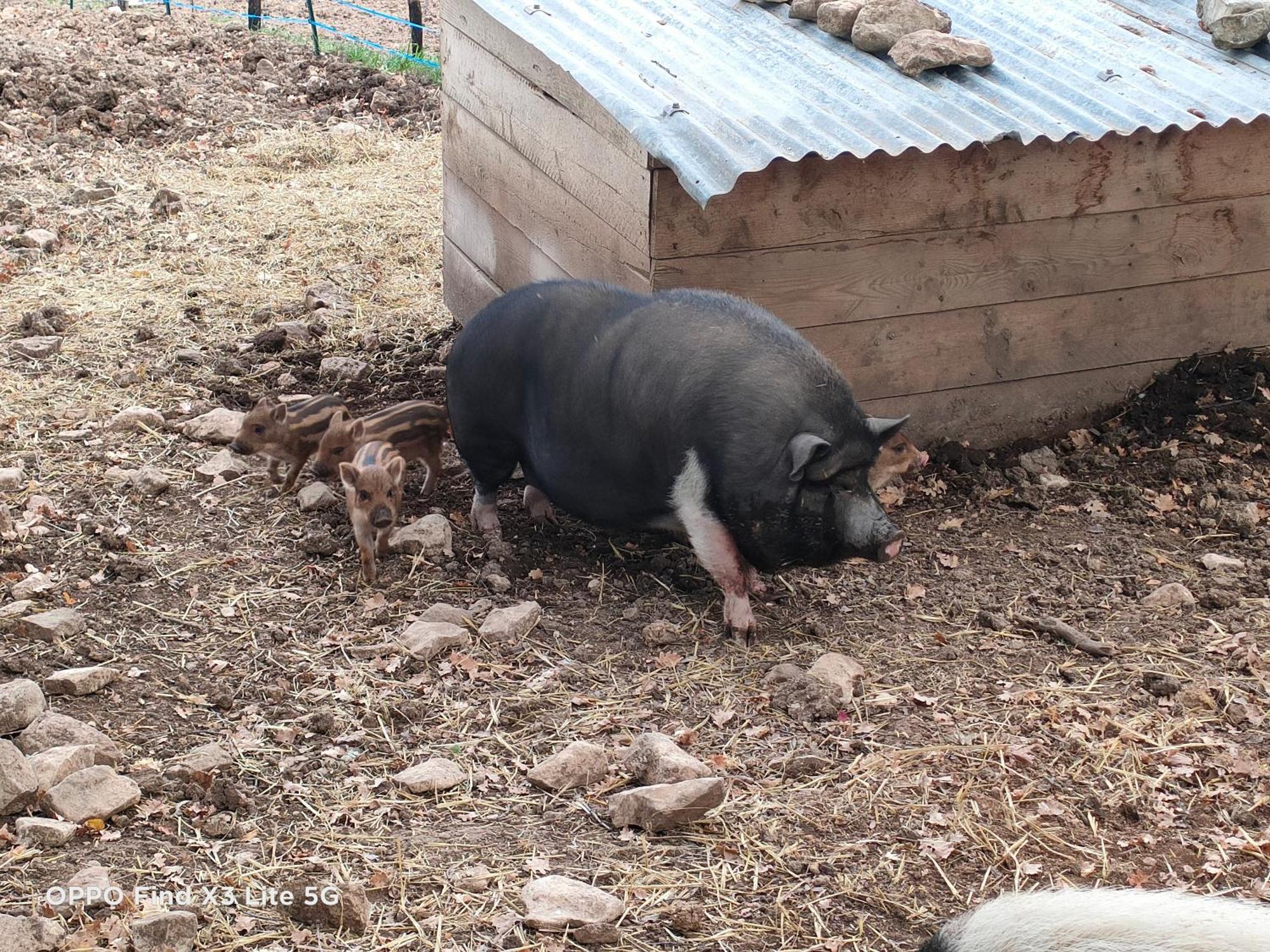 Gite A La Ferme Ongles Exterior photo