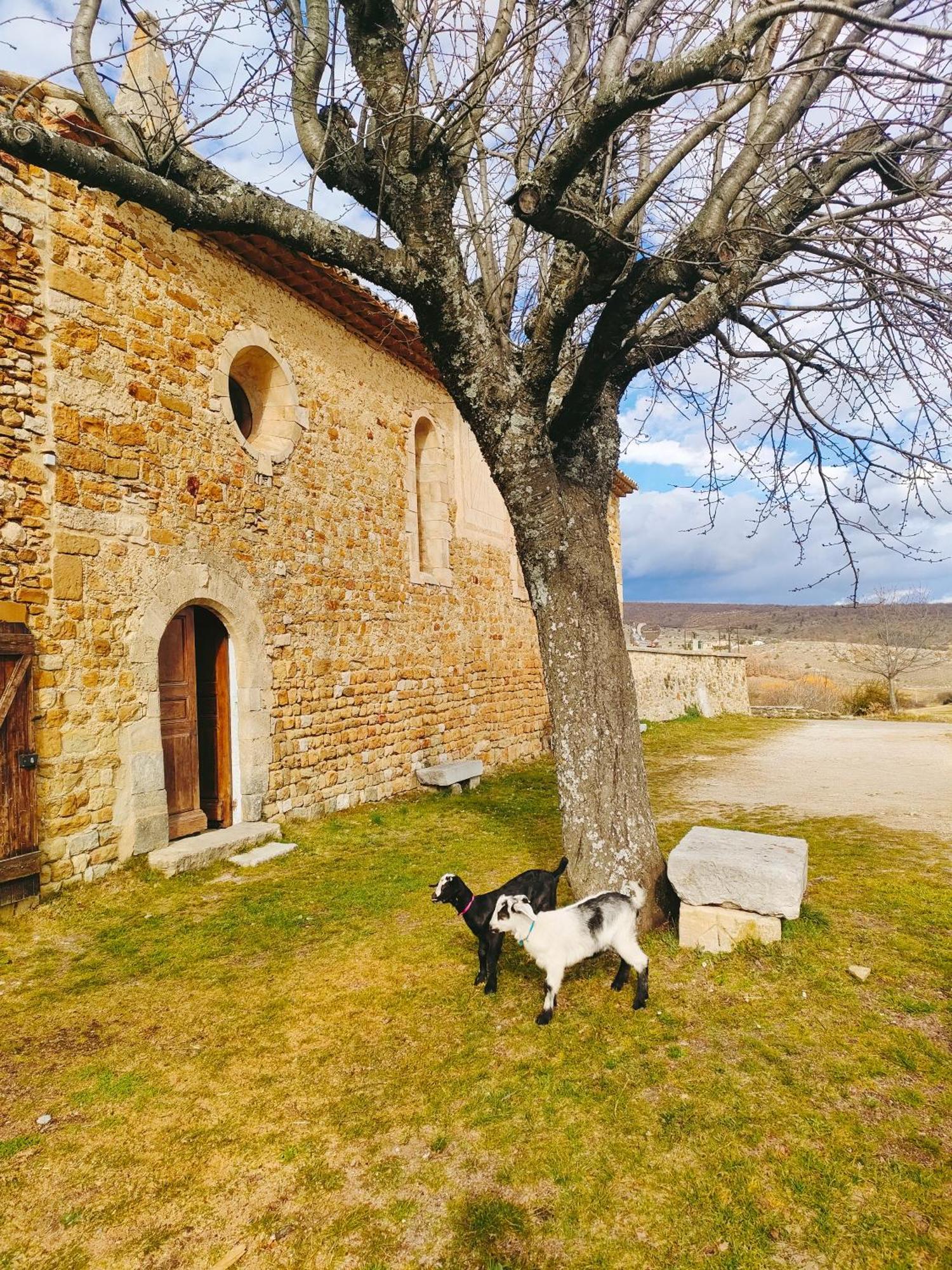 Gite A La Ferme Ongles Exterior photo