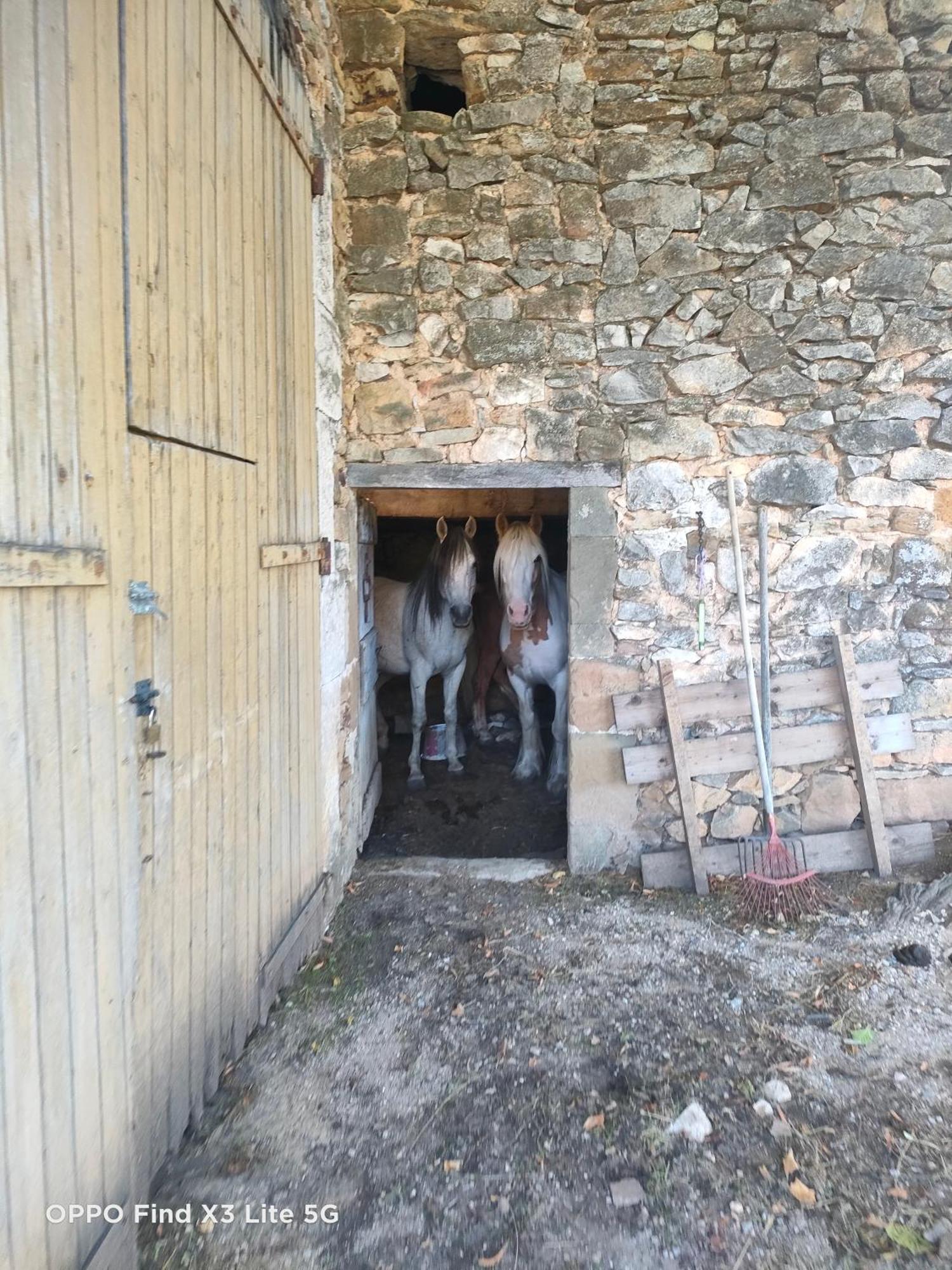 Gite A La Ferme Ongles Exterior photo